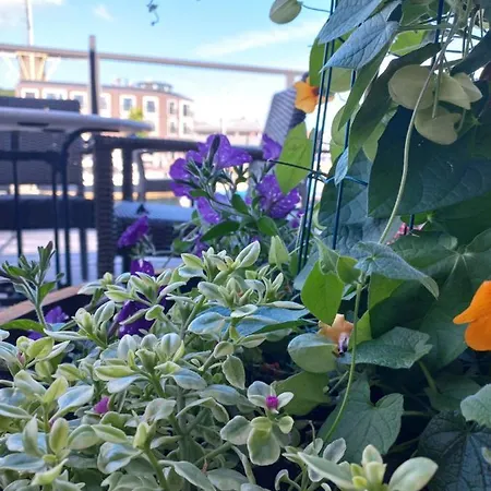 Boutique De Oude Veste 酒店